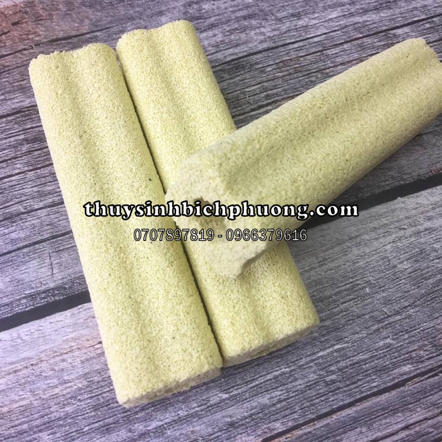 COMBO 10 SỨ THANH HOA MAI VÀNG - VẬT LIỆU LỌC CHO HỒ CÁ THUỶ SINH