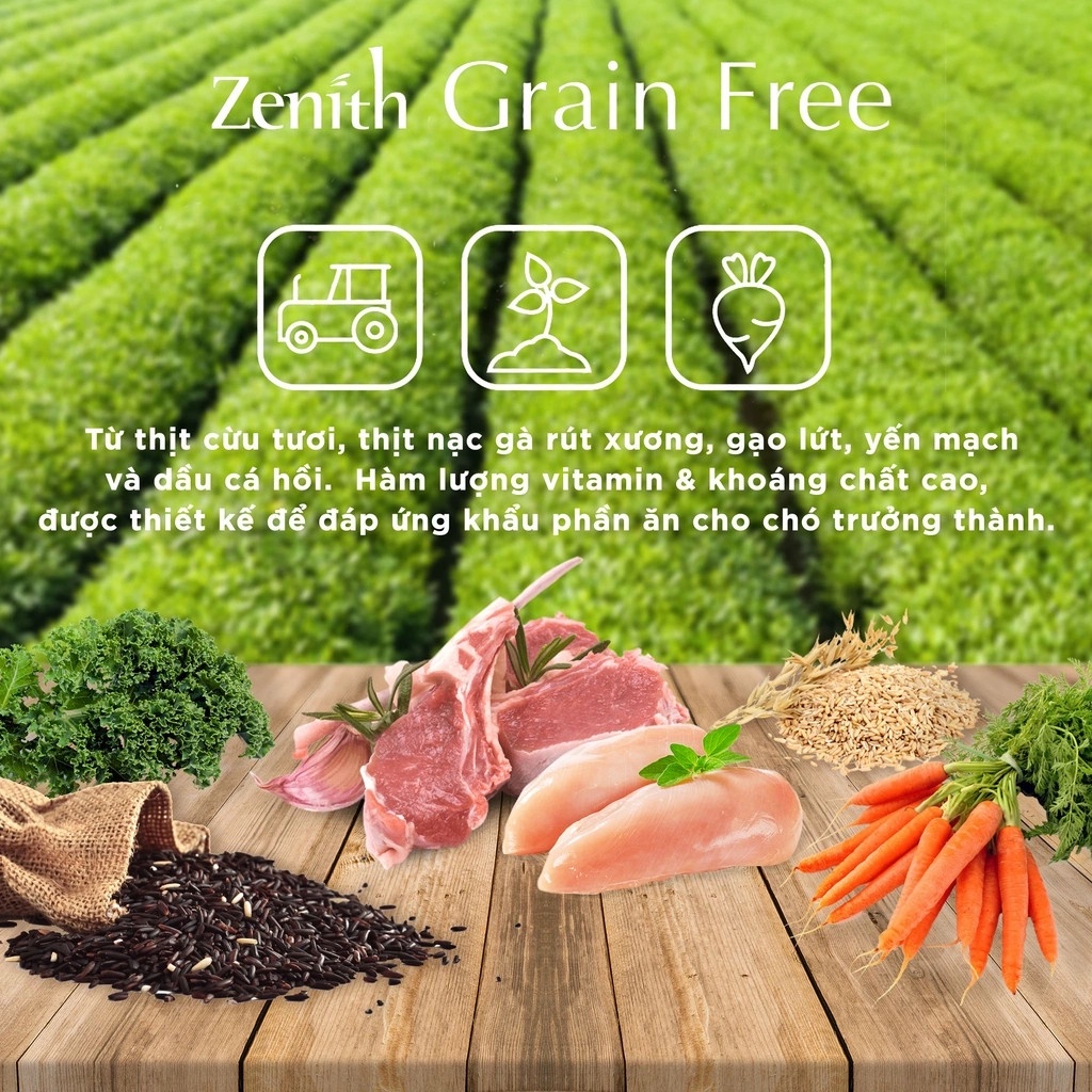 Zenith Thức ăn hạt mềm Hàn Quốc cho mèo Zenith Cat 1.2kg