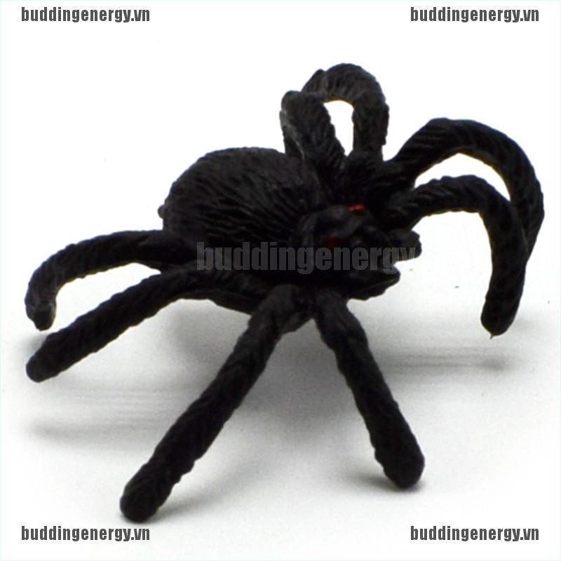 Bộ 5 Con Nhện Nhựa Màu Đen Trang Trí Halloween