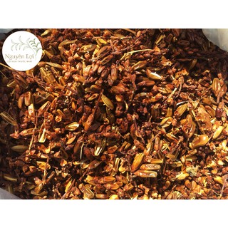 Trái Ô Rô Nước - Kiên Giang
