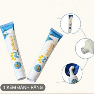Kem đánh răng, bàn chải đánh răng chó mèo