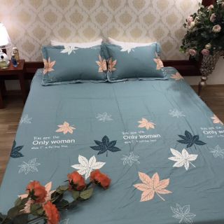 Ga chun và 2 gối chất cotton lụa