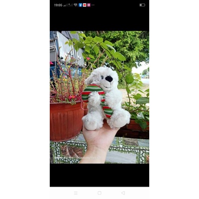 Gấu bông teddy gói quà 20/10