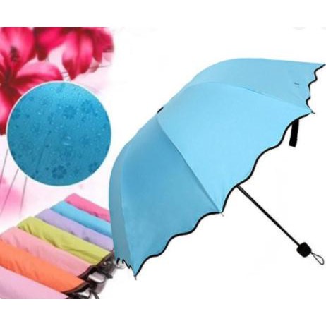 [SALE LỖ]Ô DÙ GẶP NƯỚC NỞ HOA MÀU XANH DƯƠNG