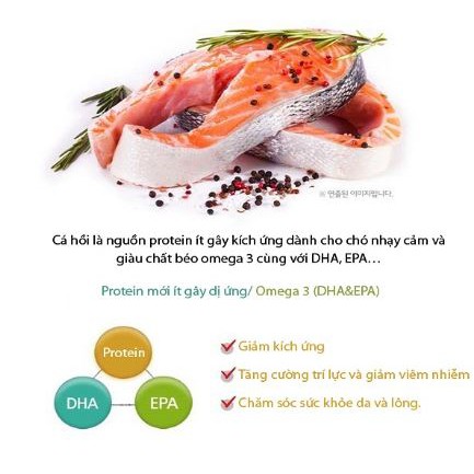 Đồ Ăn Hữu Cơ Cho Mèo ANF 6 Free Cat Natural Indoor Kitten - Adult - Hạt Cho Mèo Con - Mèo Trưởng Thành - Túi 200G