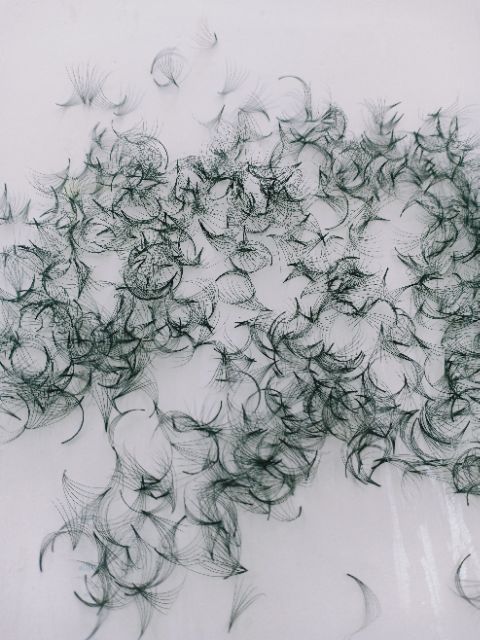 Mi fan 6d - hộp 1000 fan