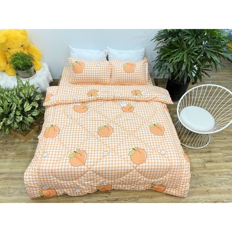 Bộ sét chăn phao 5 món cotton poly Đào kẻ