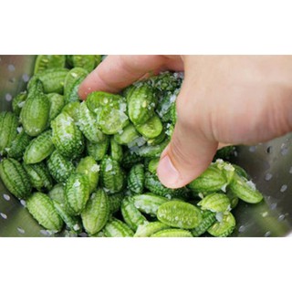 Gói 10 hạt giống dưa hấu mini bayby mexico, tặng kích mầm