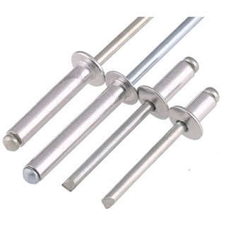 100gr Đinh rút ri vê đủ size