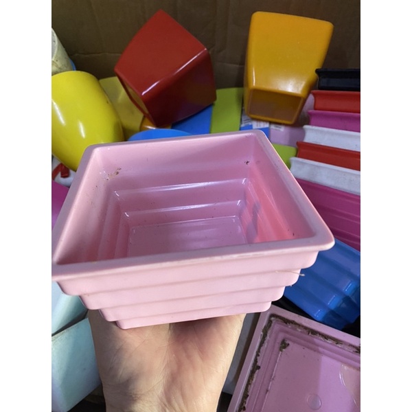 chậu nhựa trồng cây cảnh mini, cắm hoa xinh đủ loại
