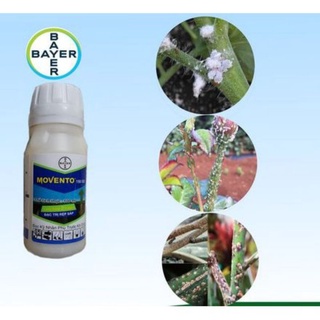 Movento ( đặc trị _ rệp sáp - bọ trĩ - rầy nâu )