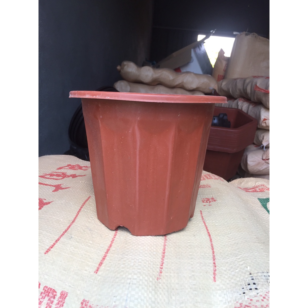 15 CHẬU NHỰA TRỒNG CÂY MÃ #E250 (BẠT PHỦ ĐẤT CHỐNG CỎ MỌC, BẦU KHAY TÚI ƯƠM...)