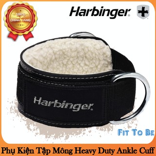 Phụ Kiện Tập Mông Harbinger Heavy Duty Ankle Cuff