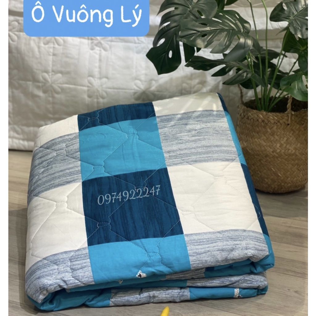 Chăn mền cotton Thắng lợi chính hãng mềm mát mịn không xù lông không phai màu (ảnh thật)