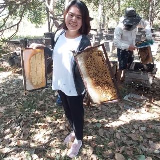 Mật ong hoa cà phê nguyên chất