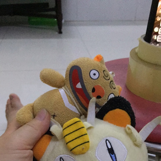 Gấu của ngọc khánh