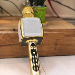 Mic hát karaoke điện thoại