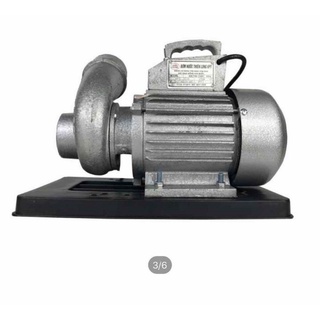 Bơm ly tâm 750w