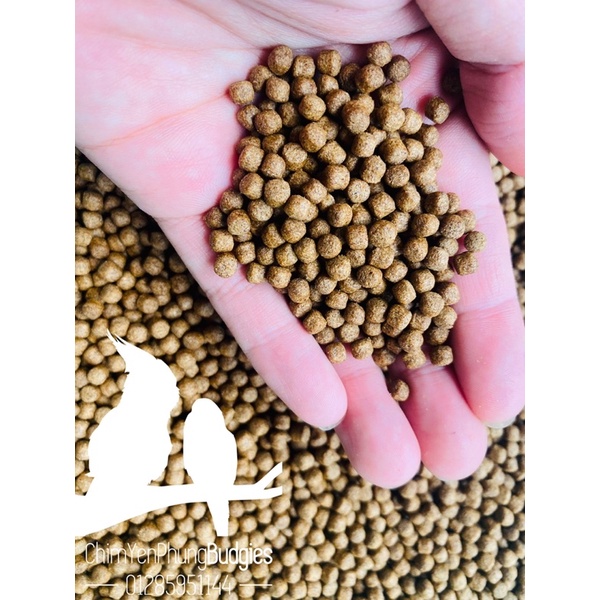 1kg Cám Cá Cargill 7595 Cho Cá Ăn Hoặc Dùng Câu Cá,rô phi,điêu hồng,Chép.