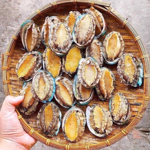 Bào ngư nhập khẩu siêu bổ dưỡng h500gr 🦪🐡 DTFoods