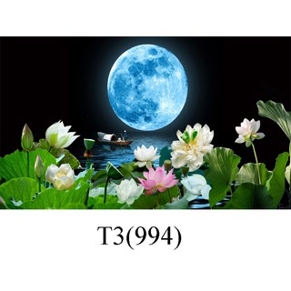 Tranh dán hồ cá 3d , hồ cá rồng , la hán , cá dĩa …