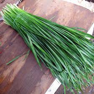 1GR - HẠT GIỐNG CÂY HẸ