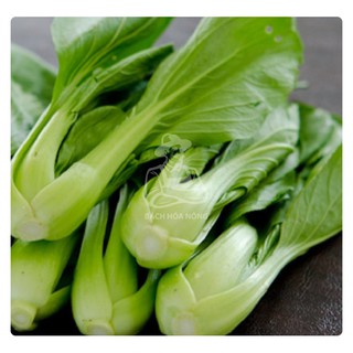 Hạt Giống Cải thìa cao sản PHÚ NÔNG (20g)