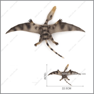 Mô Hình Khủng Long Thằn Lằn Bay Dimorphodon - 7748