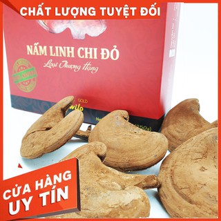 [Hewilo Herbs] Nấm Linh Chi | Nguyên tai thượng hạng