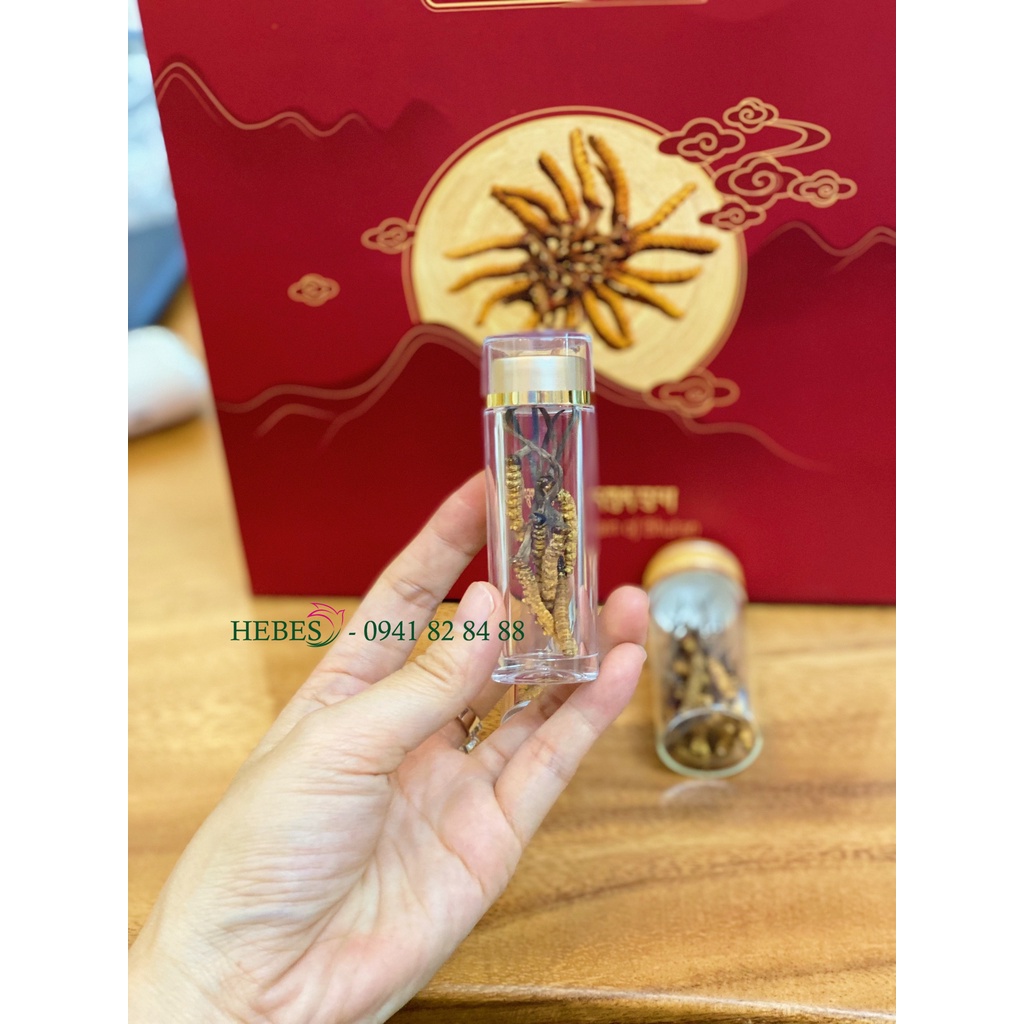 HŨ NHỰA ĐỰNG ĐÔNG TRÙNG HẠ THẢO, SAFFRON