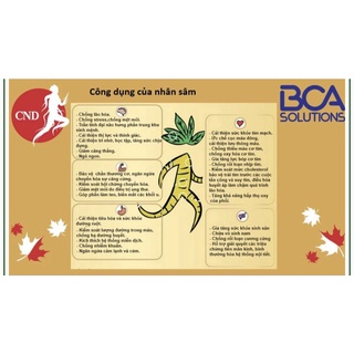 Viên nhân sâm Canada CND GINSENG GOLD
