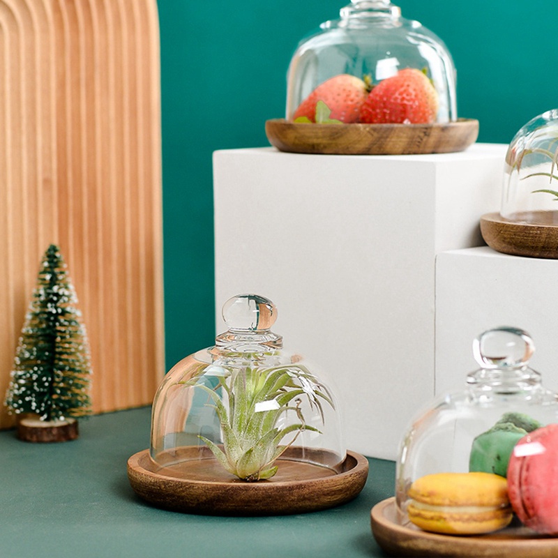 Giá Đỡ Bánh Kem / Acacia Mini Đa Năng Có Nắp Vòm Dành Cho Khách Sạn (4 Cái)