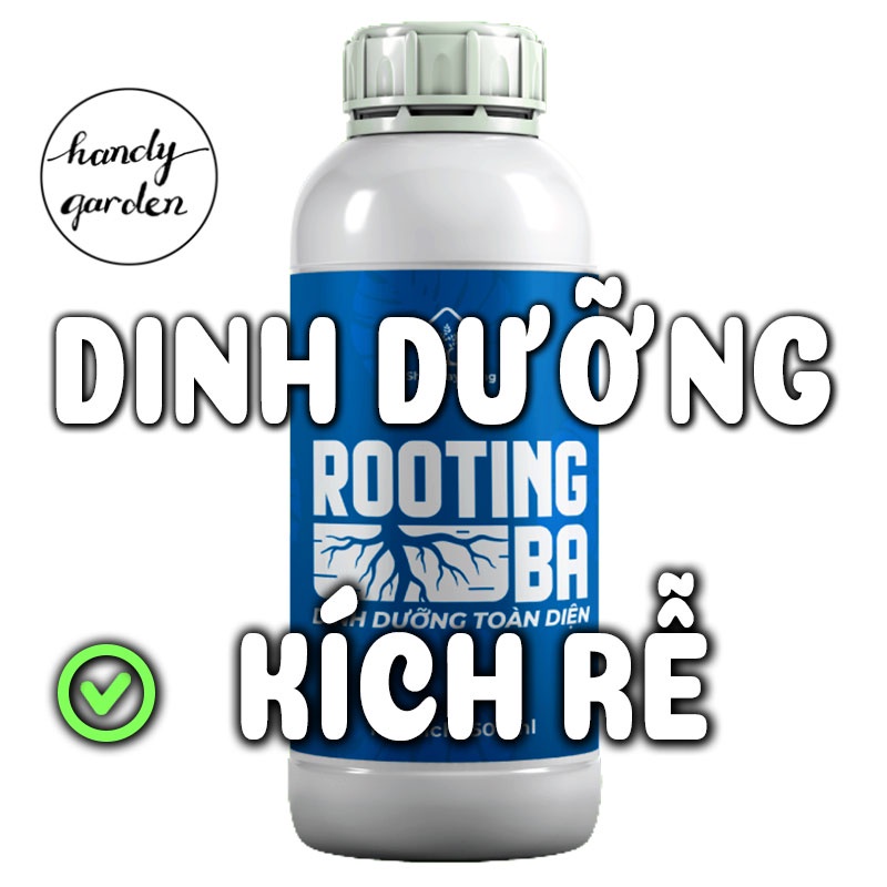 Nước Tưới Dinh dưỡng – Kích rễ Rooting BA (chai 500ml) siêu ra rễ Node Kiểng Lá, Kie Phong Lan, thuần Sen Đá HandyGarden