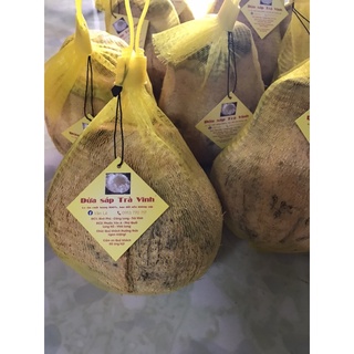 Dừa sáp Trà Vinh Loại 1 (từ 1kg-2kg)