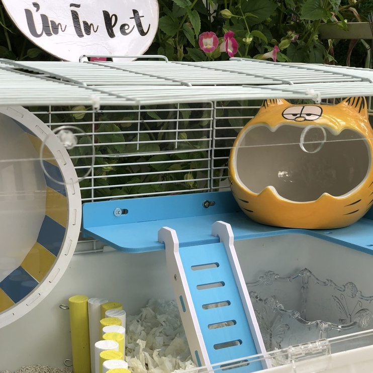 Nhà ngủ sứ hamster, MÈO VÀNG MƠ MÀNG NGỐC NGHẾCH