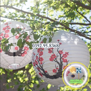 Lồng đèn Giấy hoa đào Nhật Bản - Đèn lồng Giấy tròn trang trí