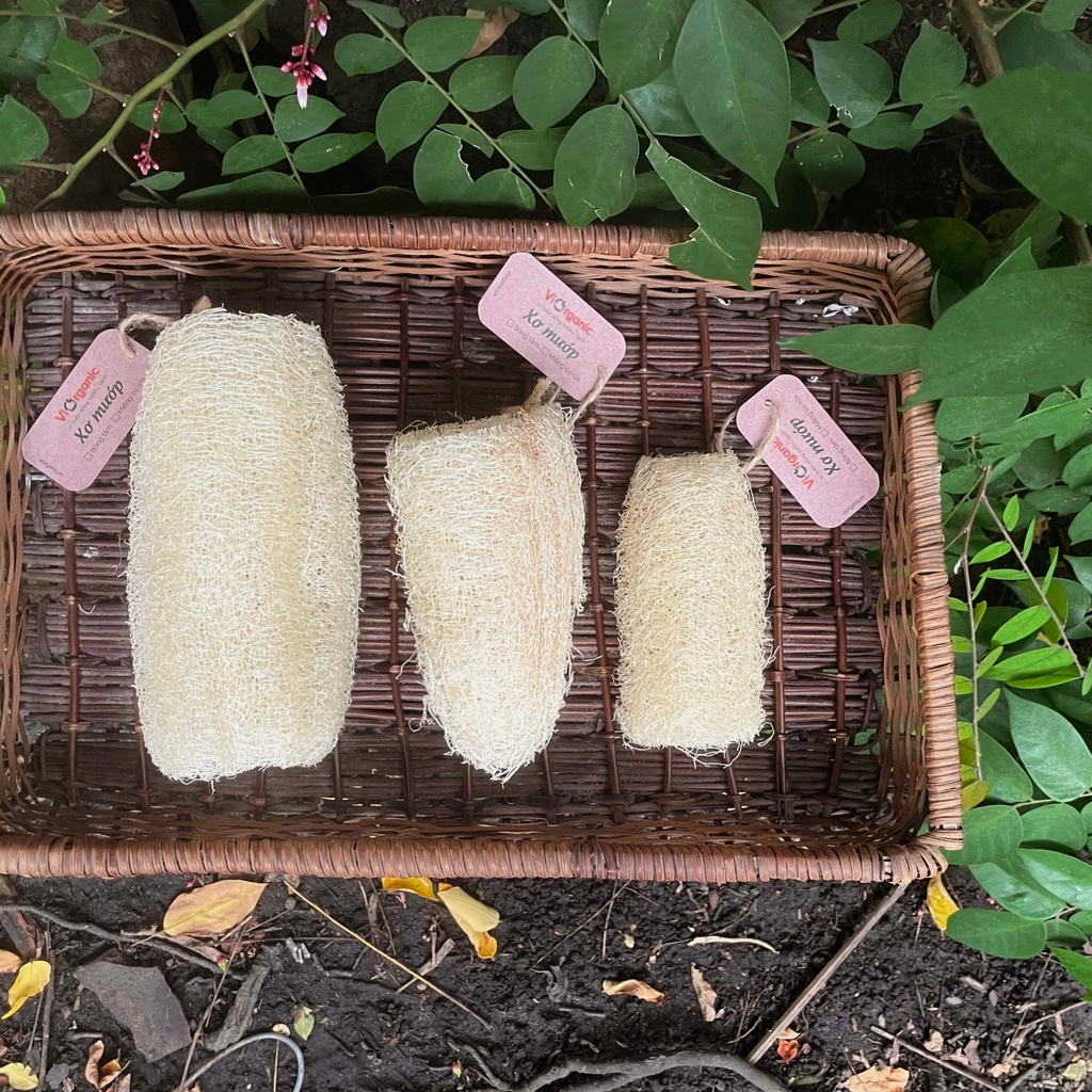 Xơ mướp tự nhiên ViOrganic