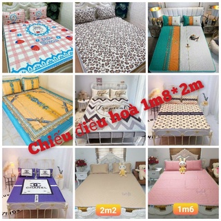 Chiếu điều hòa cao su non 5d loại 1, size 1m8*2m
