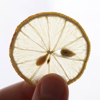 Trà hoa detox gói dùng thử