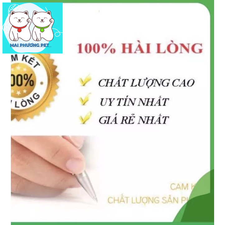 SIFA -Thuốc diệt mối dạng xịt tiện dụng chai lớn 500gr diệt mối và mọt gỗ an toàn và hiệu quả