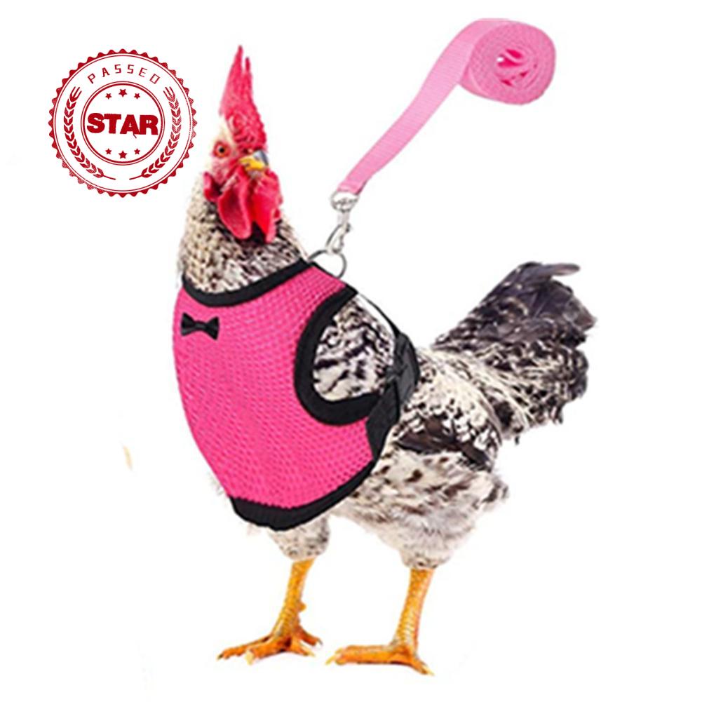 Đai Yếm Huấn Luyện Gà / Vịt Co Giãn Thoáng Khí Thoải Mái Có Thể Điều Chỉnh U5