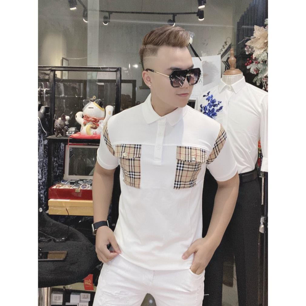 Áo polo nam BB, áo phông có cổ kẻ vân BB mã 8900 | BigBuy360 - bigbuy360.vn