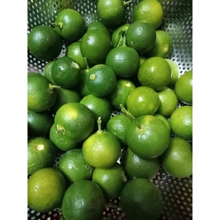 bánh tráng muối sa tế hành phi