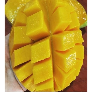 Xoài cát hoà lộc Cao Lãnh
