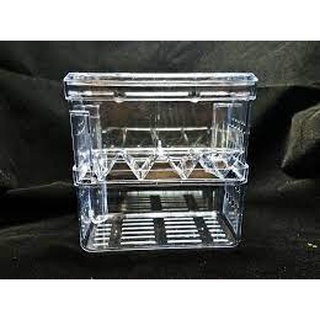 Lồng đẻ cho cá tép cảnh bằng mika