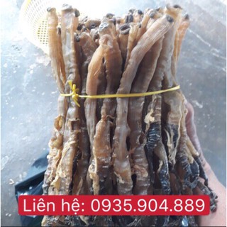 Sá Sùng size Lớn [500g] - Xã Sùng nấu nước dùng phở - Phở Sá Sùng