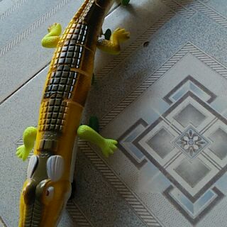 Combo 20 con cá sấu chạy pin