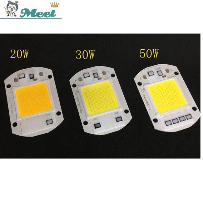 220V LED Floodlight 20W/30W/50W White/Warm Driver Smart Integrated Light Chip COB IC
