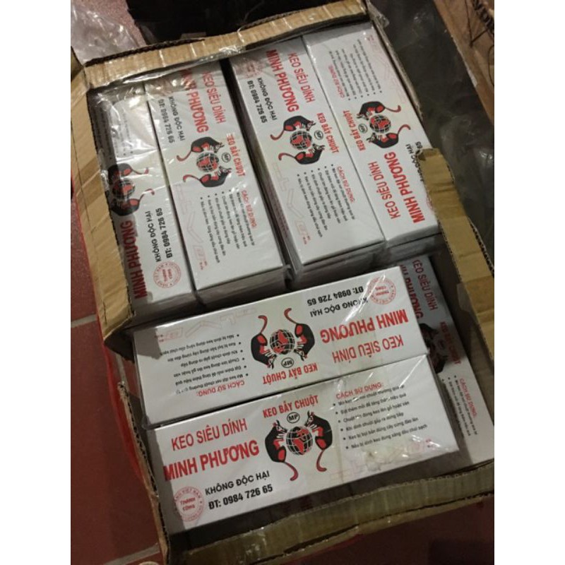 1 miếng keo dính chuột siêu dính