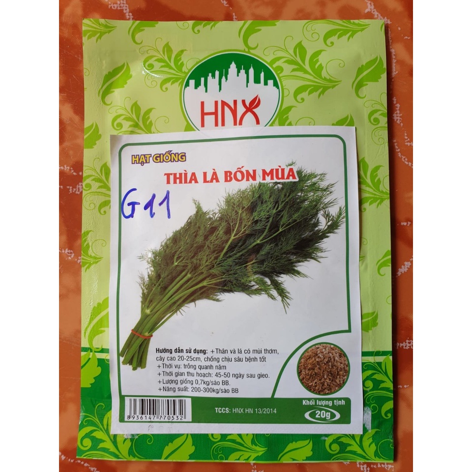 Hạt giống rau Thì Là bốn mùa dễ trồng, tỉ lệ nảy mầm >95%, kháng sâu bệnh
